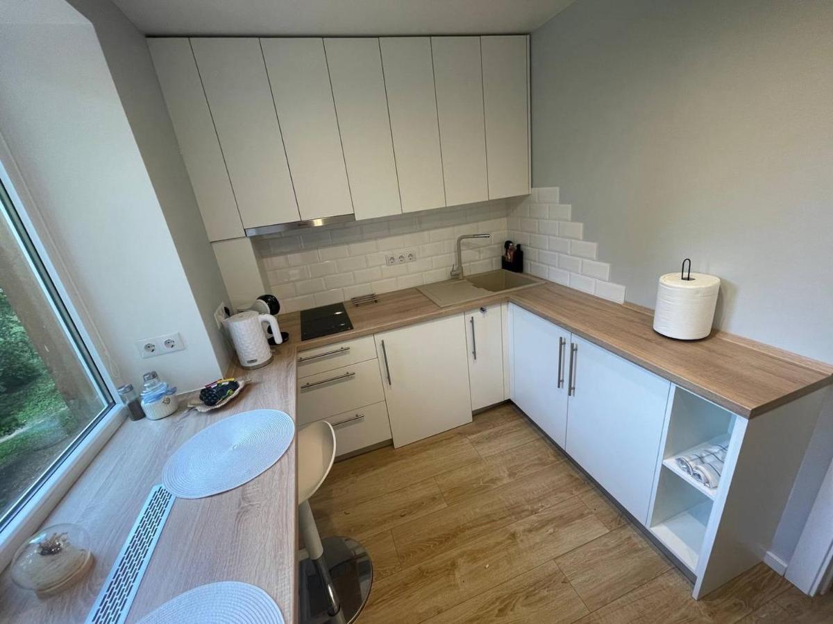 Апартаменти Modern 1Br Haven Near Two Parks Рига Екстер'єр фото